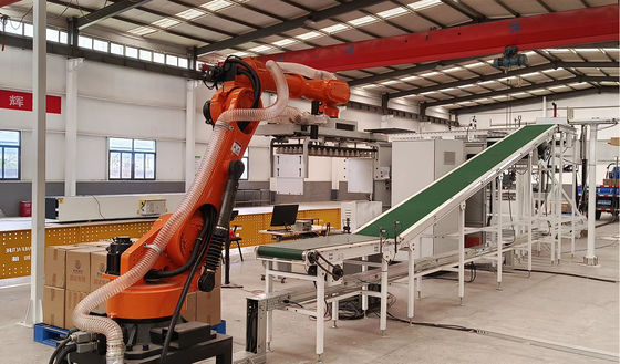 Container Truck Automatic Box Loader Intelligent And Accurate Placement 500-1200 Cases/Hour